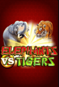 Elephats vs Tigers